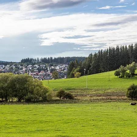 Ribeiro Ninho De Cuco *