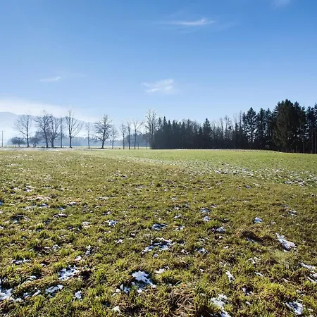 Ribeiro Ninho De Cuco Schönwalde