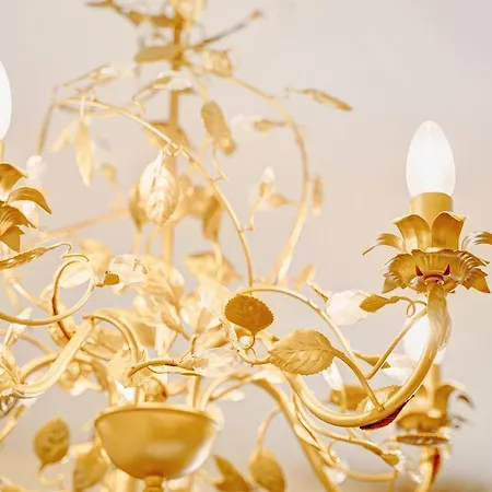 Ribeiro Ninho De Cuco * Schönwalde