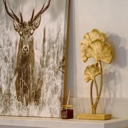 Ribeiro Ninho De Cuco Apartamento *