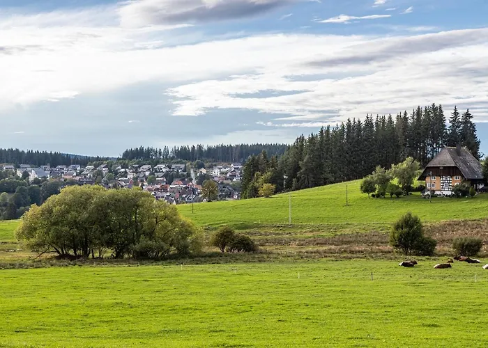 Ribeiro Ninho De Cuco *